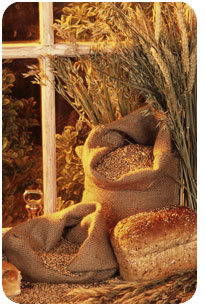 Primo Foods | Healthy Eating